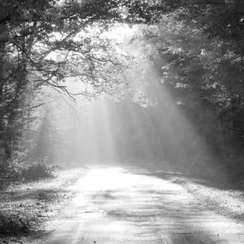 Mürşidsiz Manevi Yolculuk